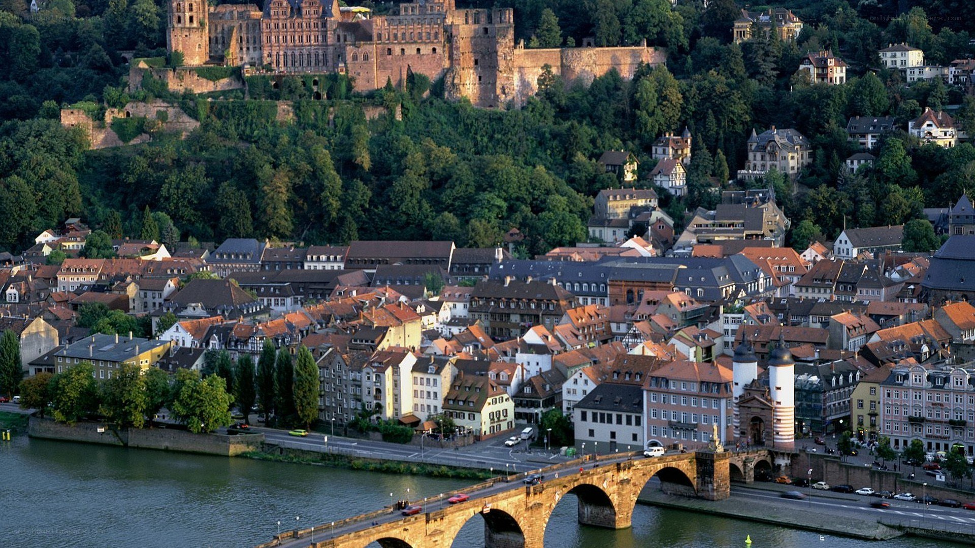 Heidelberg cityscape with castle