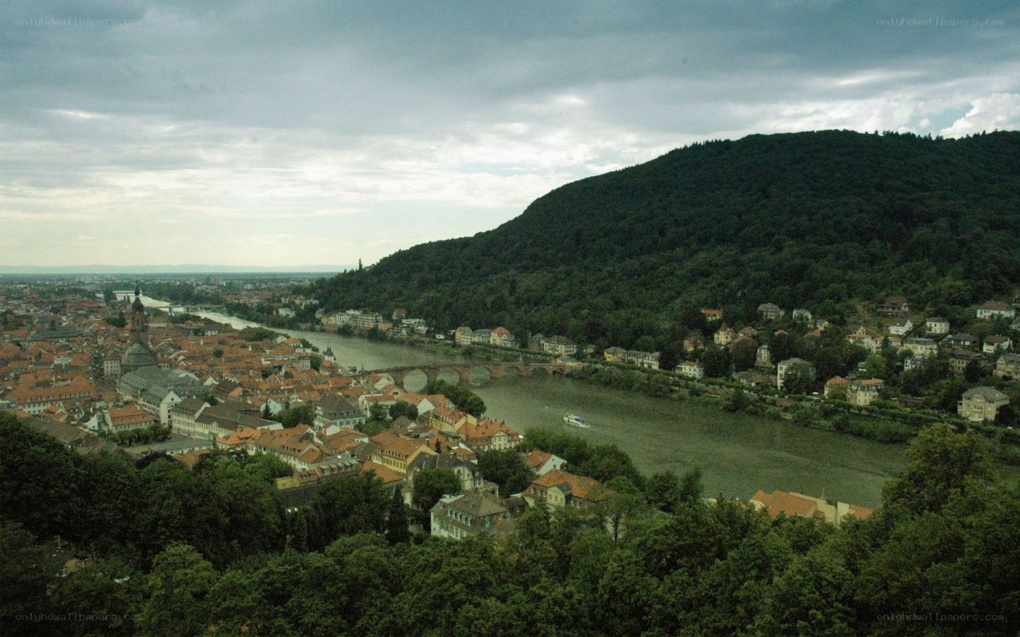 Heidelberg cityscape with river