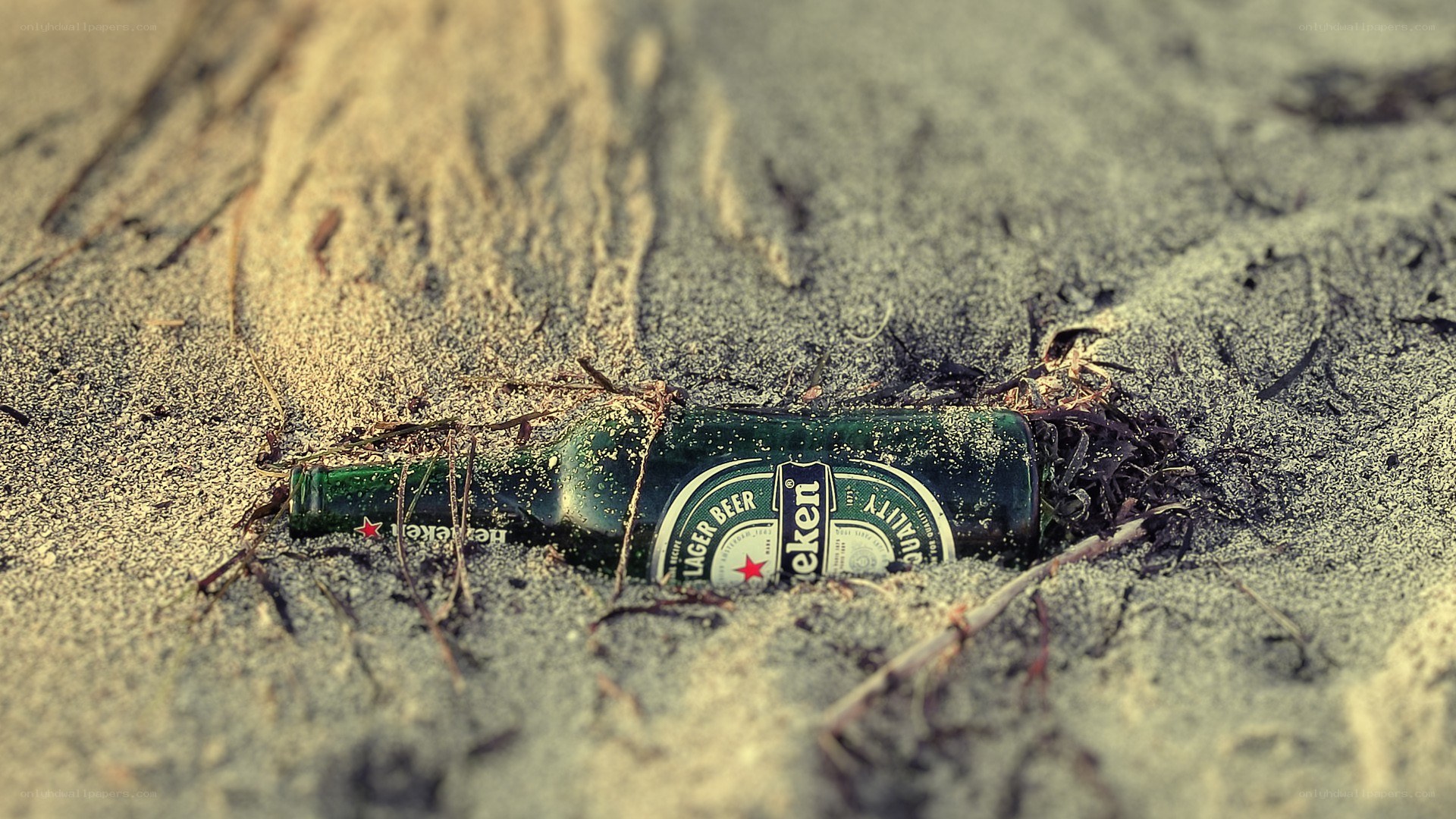 Heineken bottle on sandy beach