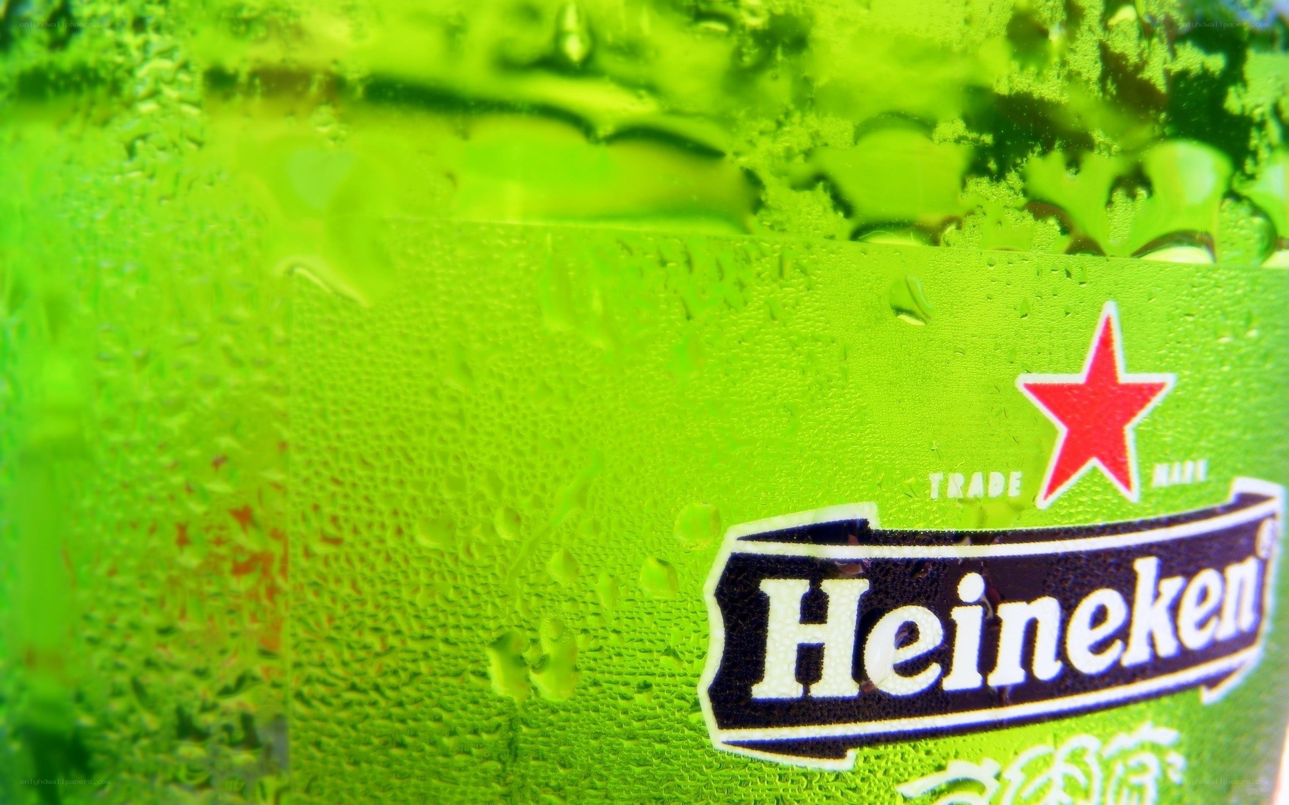 Heineken bottle with condensation