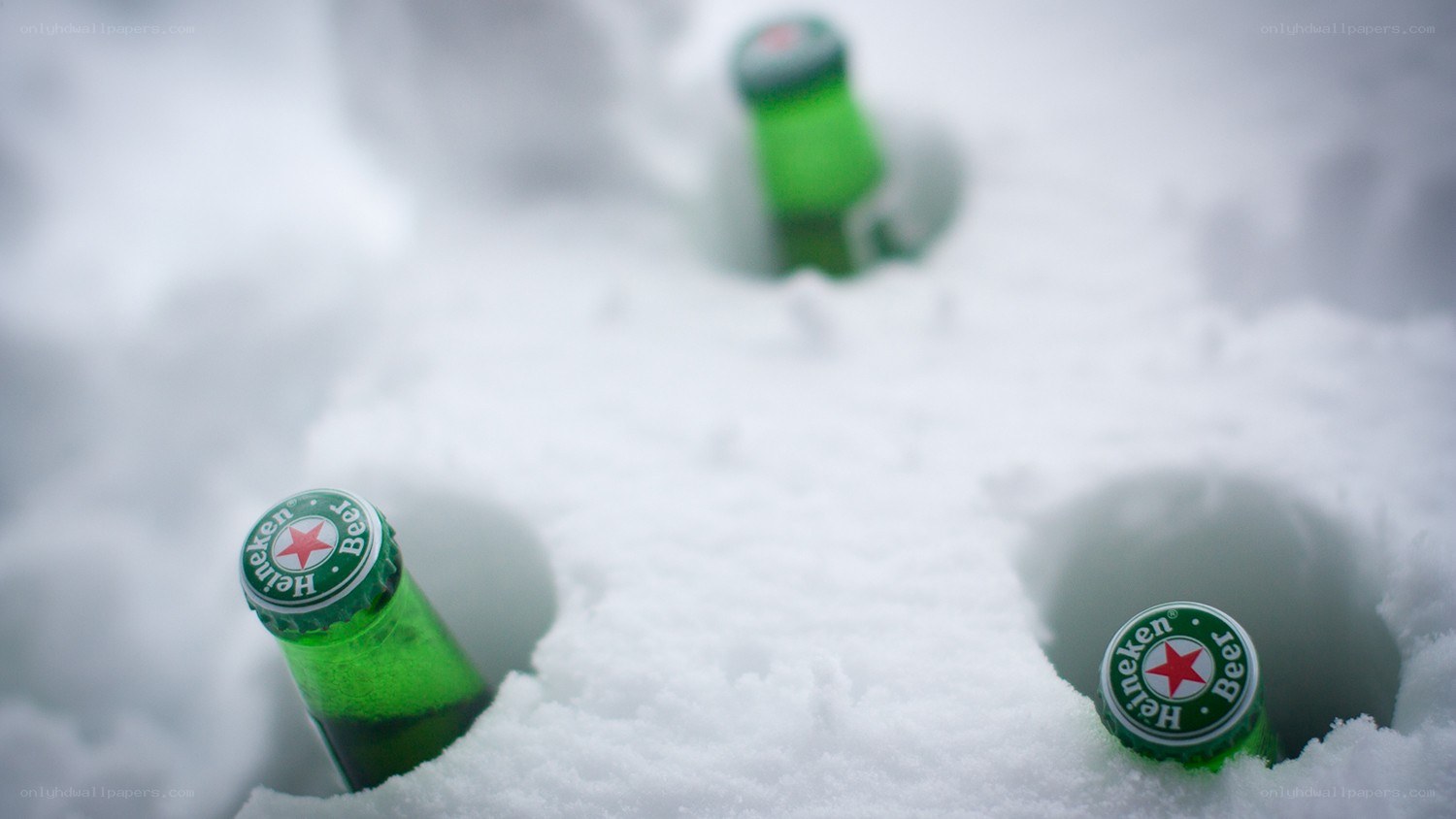 Heineken bottles in snow