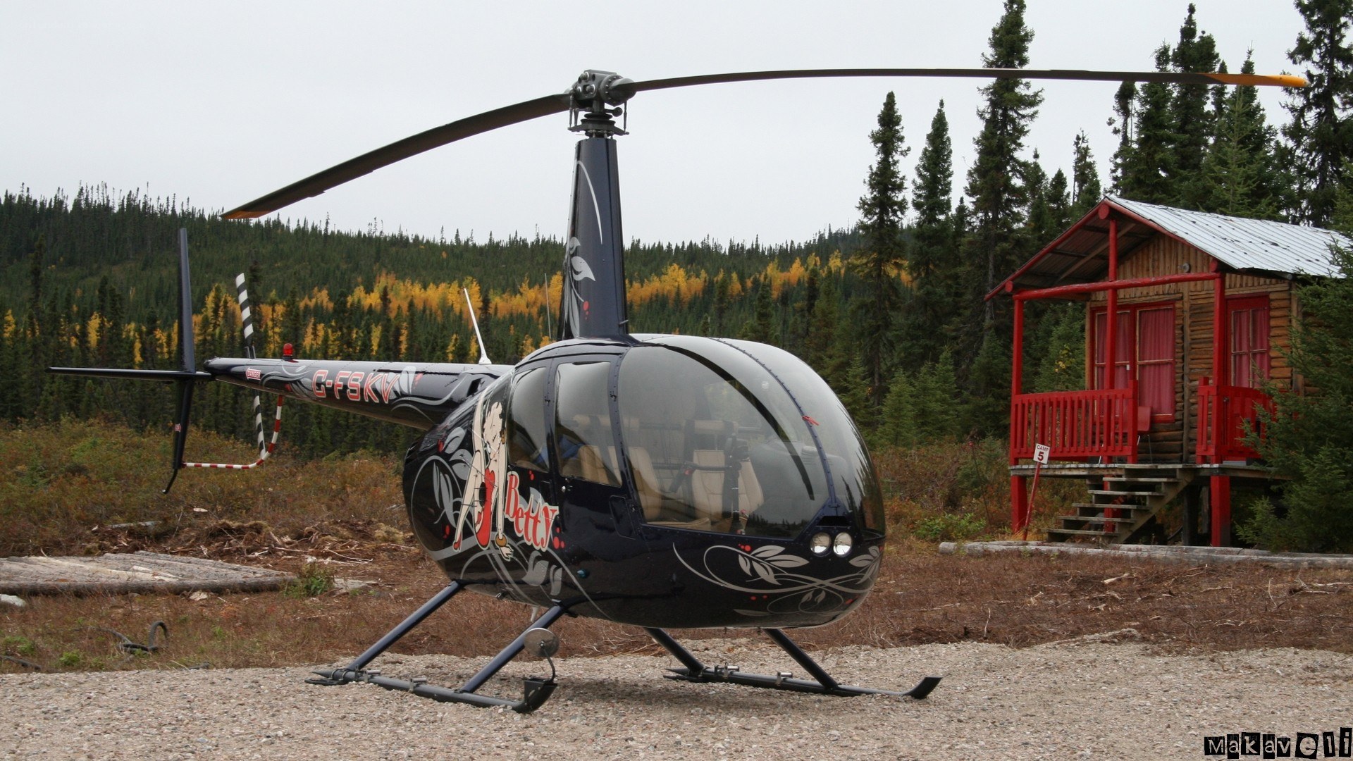 Helicopter at forest cabin