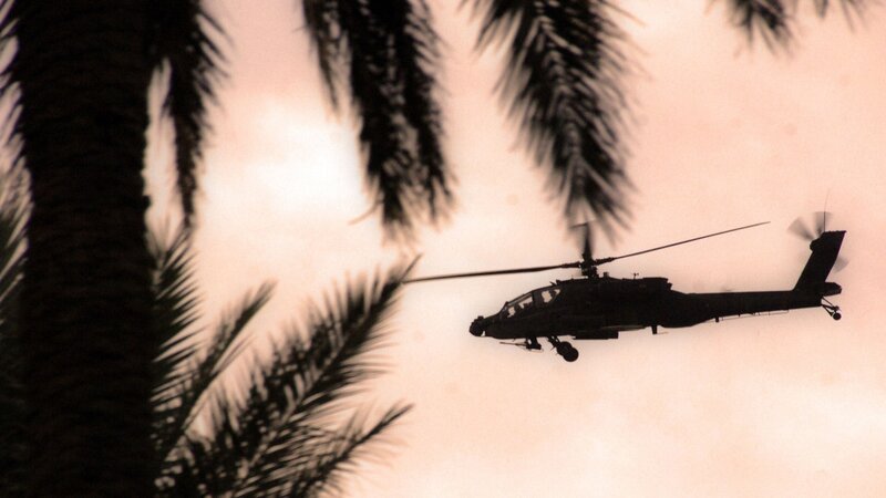 helicopter flying over palm trees