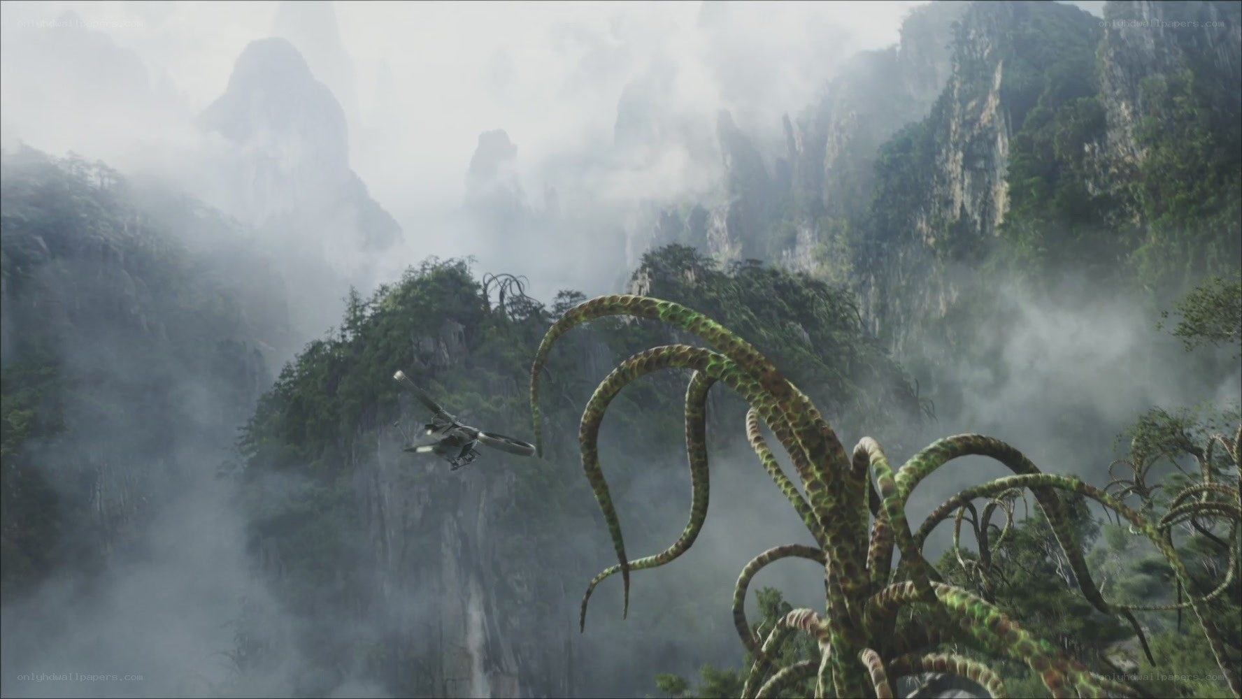 Helicopter in a misty jungle