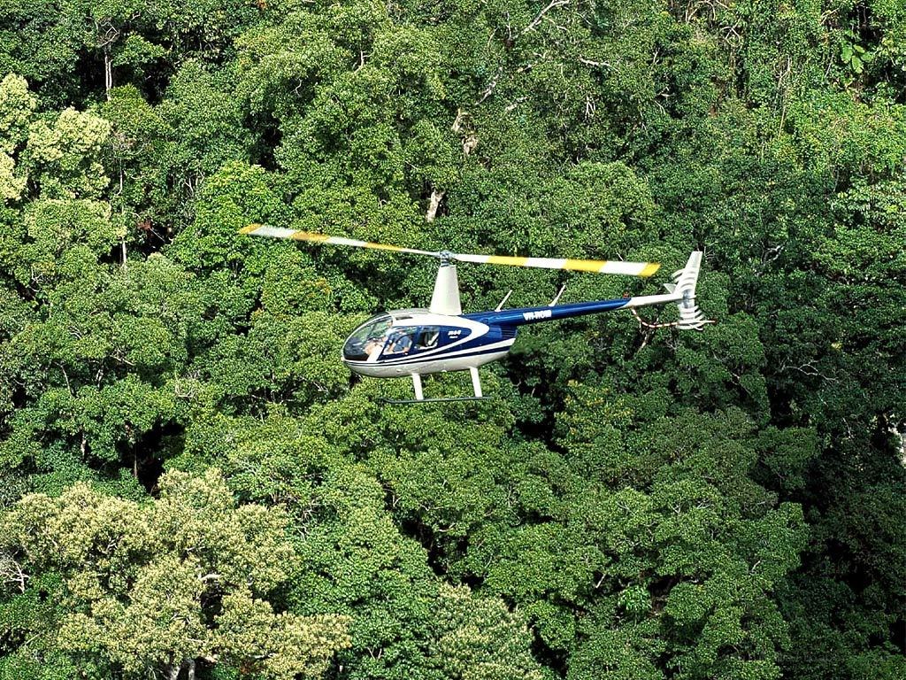 Helicopter over forest canopy