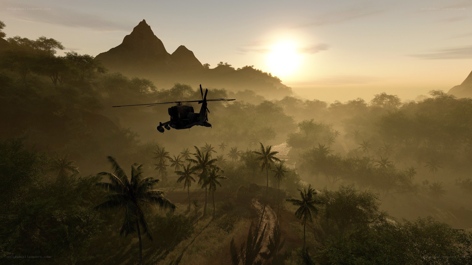 helicopter over jungle at sunrise