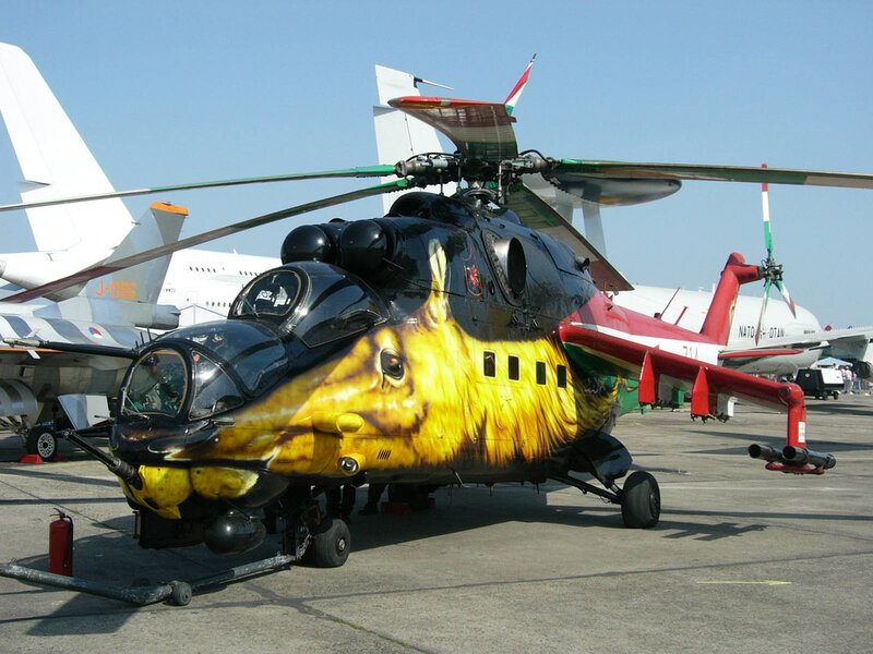 Helicopter with Animal Paint