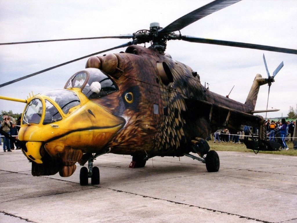 Helicopter with bird camouflage