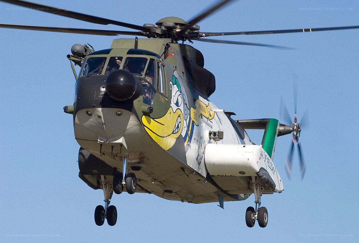 helicopter with cartoon duck