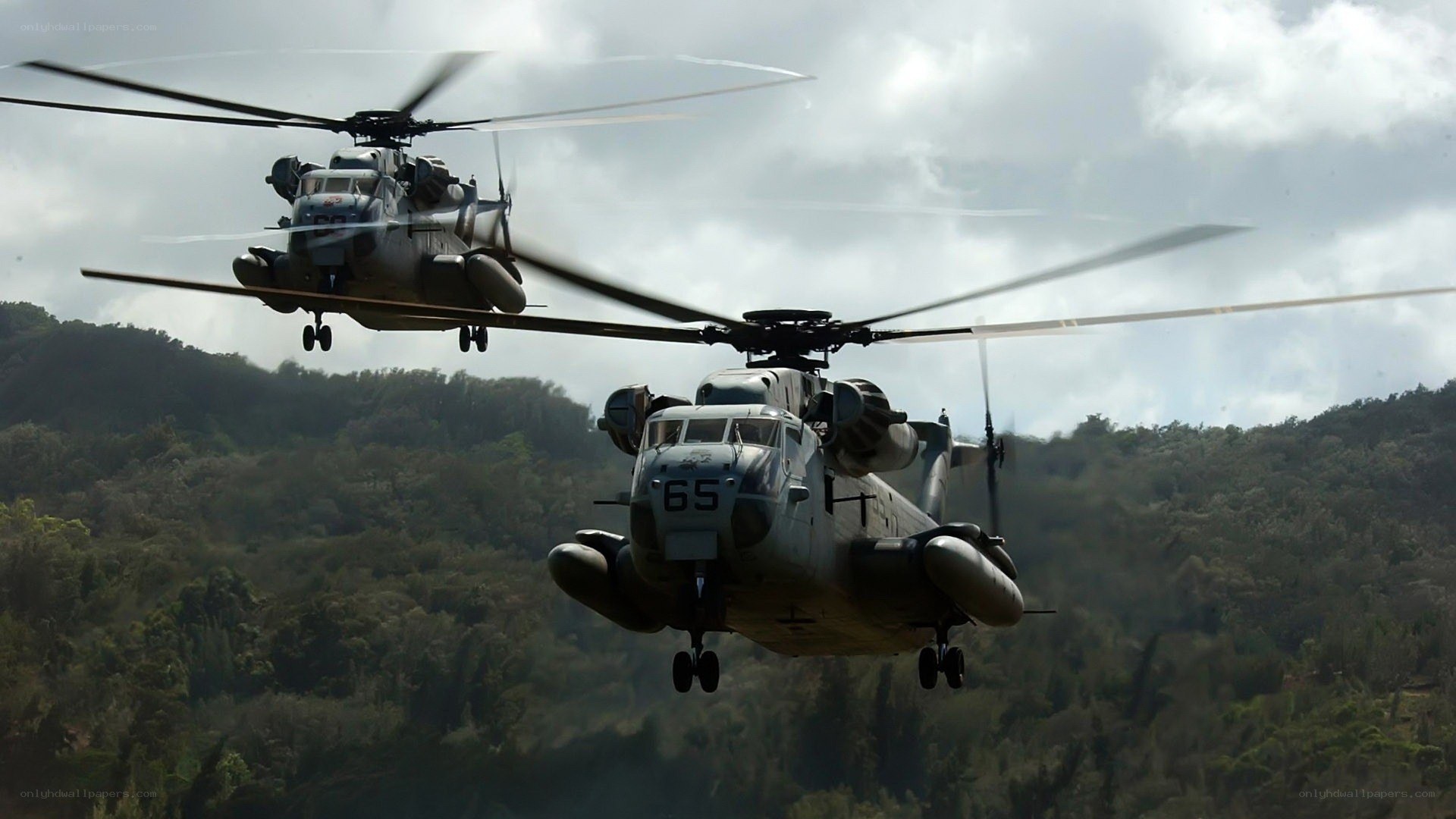 Helicopters in flight over forest