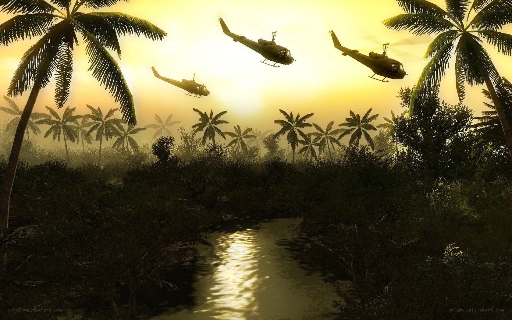 Helicopters over jungle river