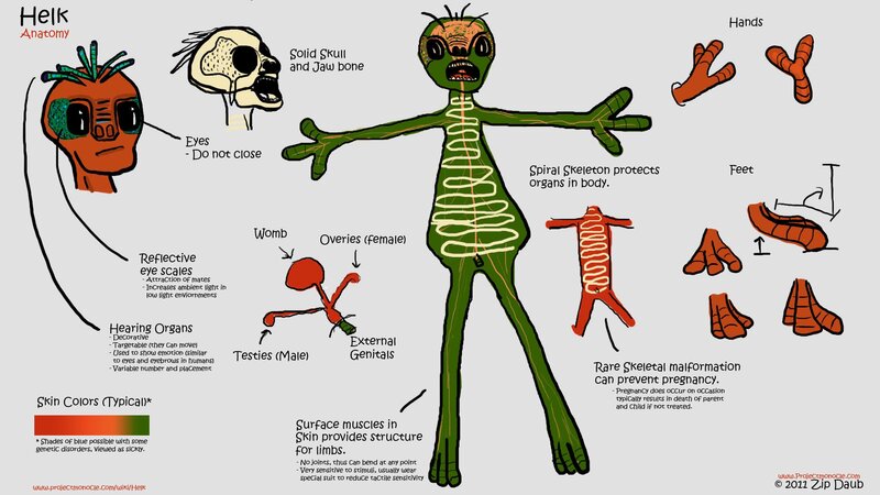 Helk alien anatomy chart
