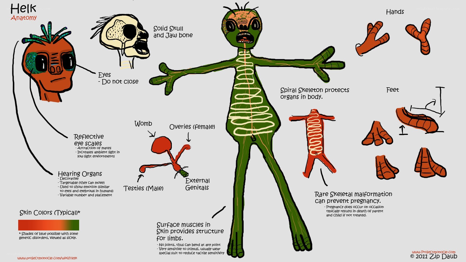Helk alien anatomy chart