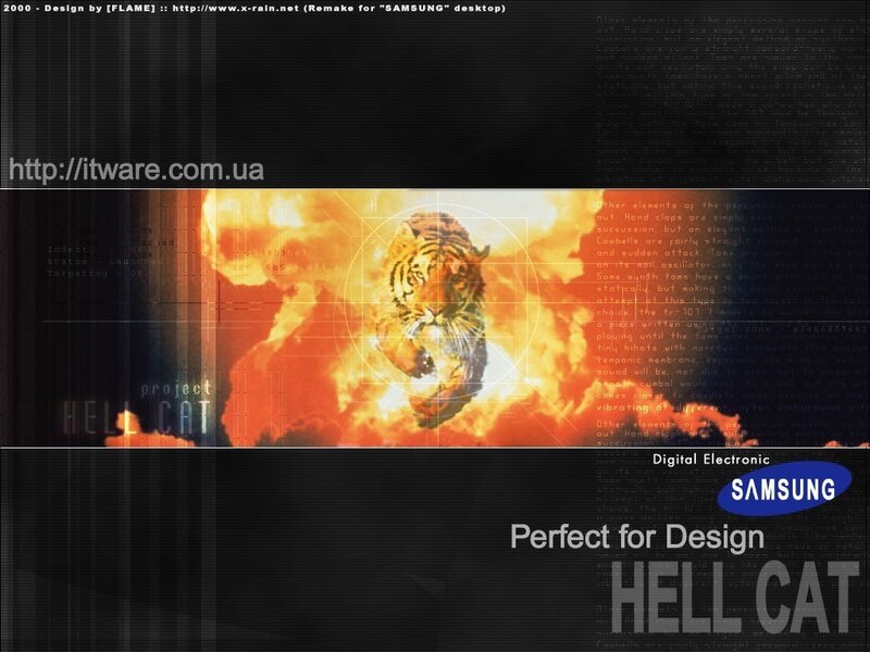 Hell Cat digital artwork