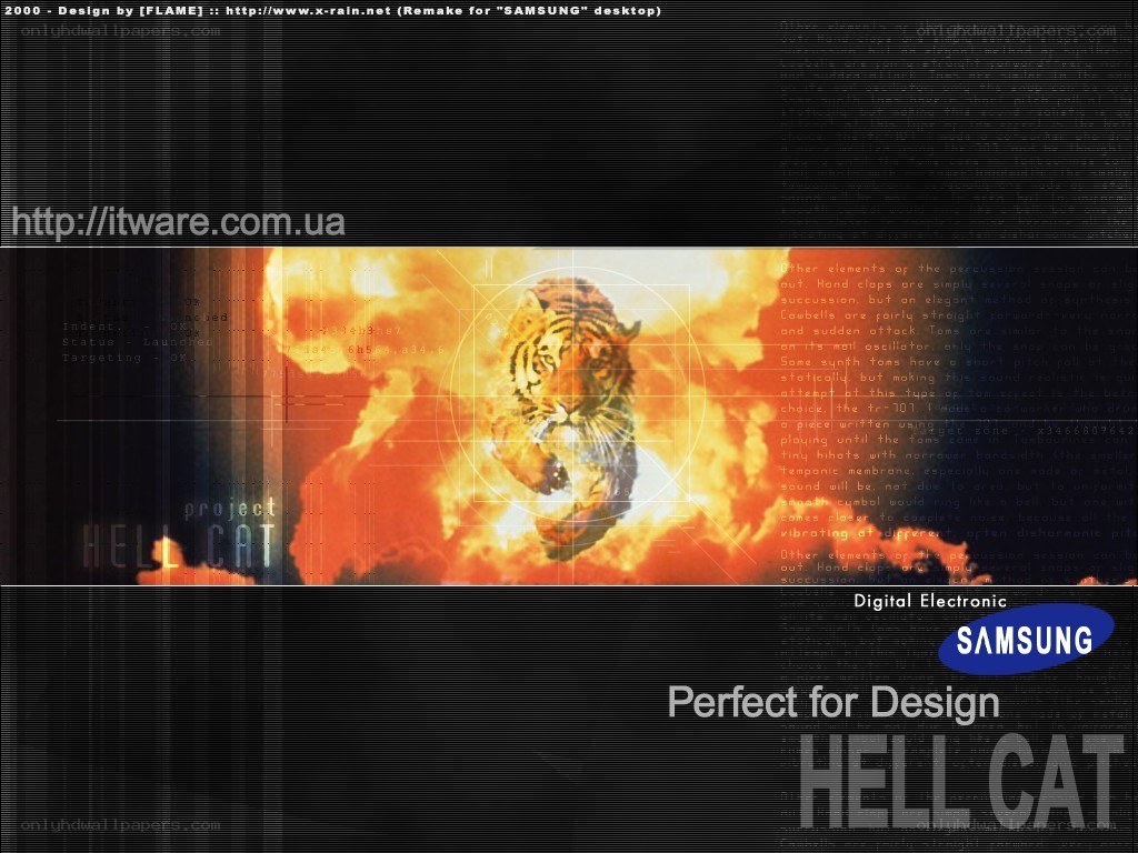 Hell Cat digital artwork