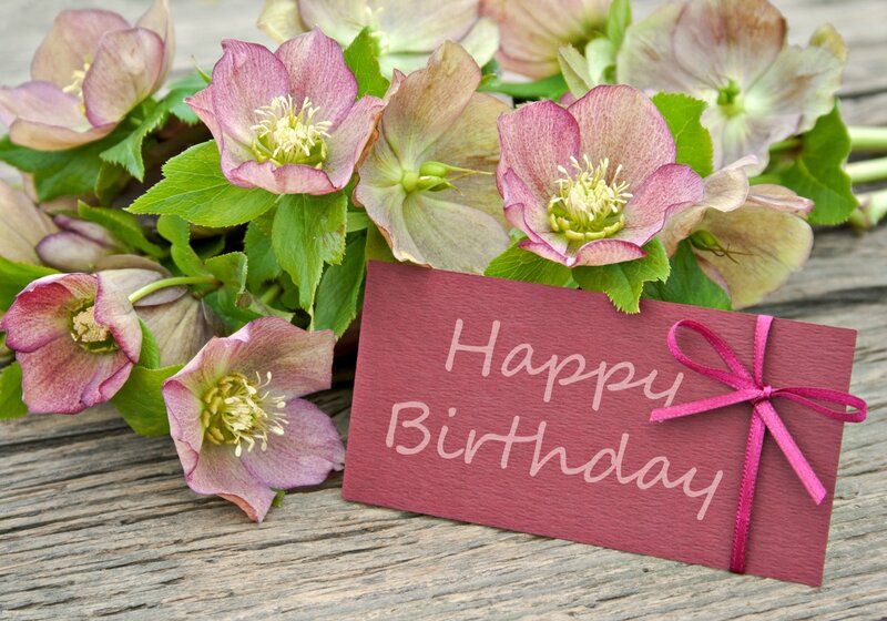 Hellebore Flowers and Card