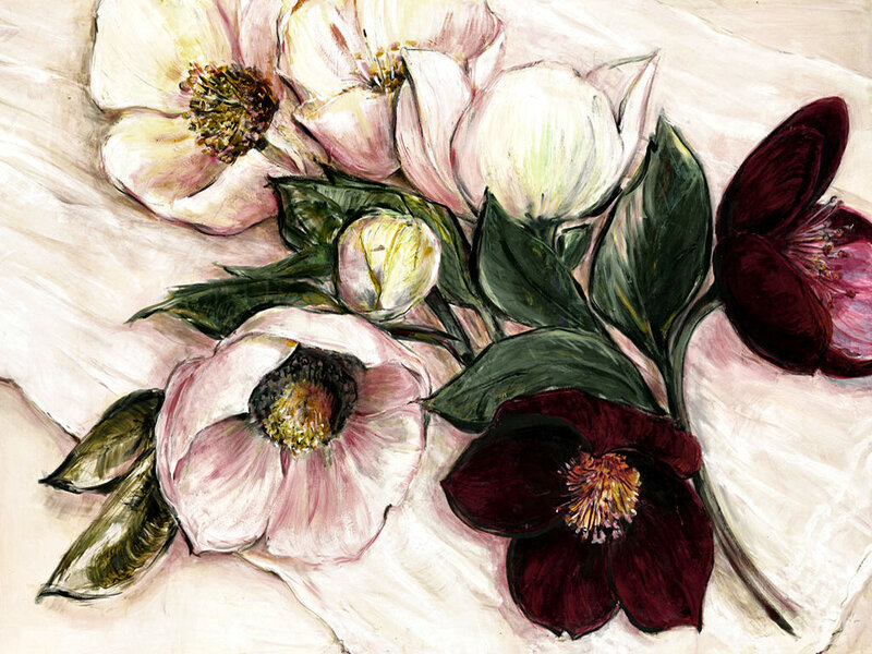 Hellebore Flowers — White, Calm, Painting