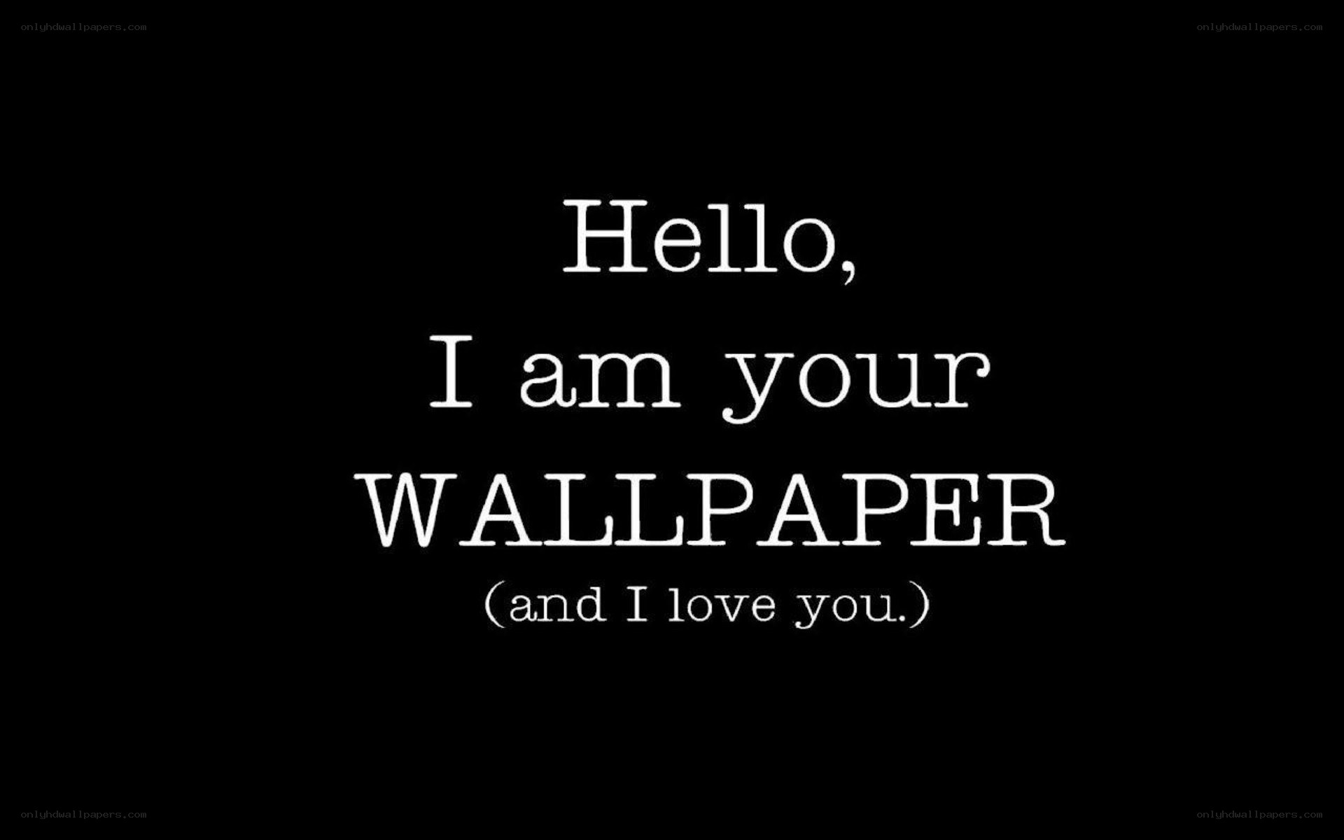 Hello, I am your wallpaper