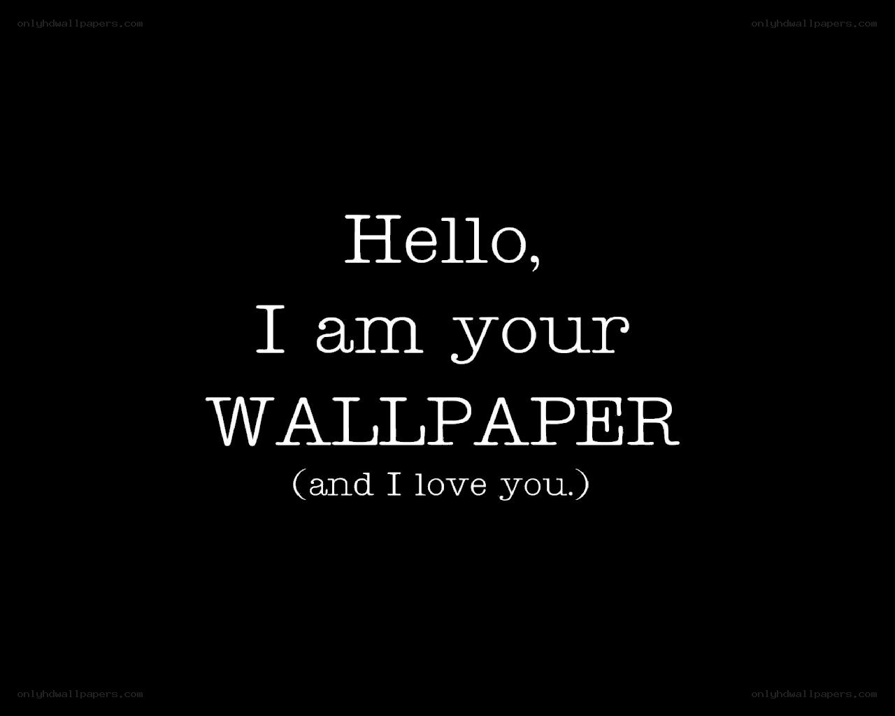 Hello, I am your wallpaper