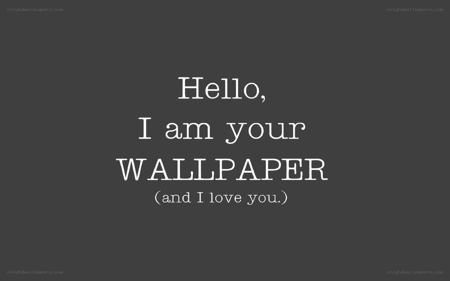 Hello, I am your wallpaper