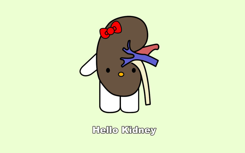 Hello Kidney