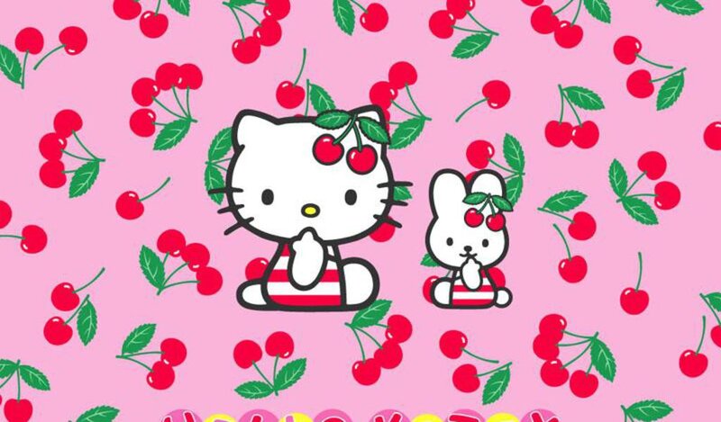 Hello Kitty and a Bunny — Pink