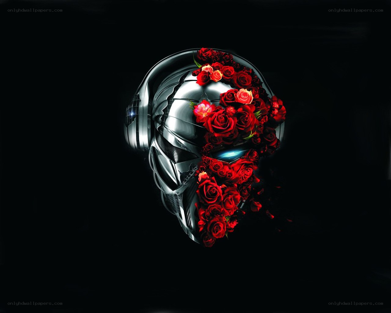 Helmet with red roses