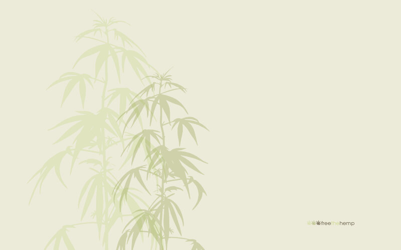 hemp plant silhouette