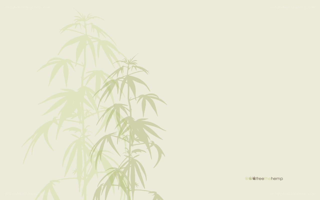 hemp plant silhouette