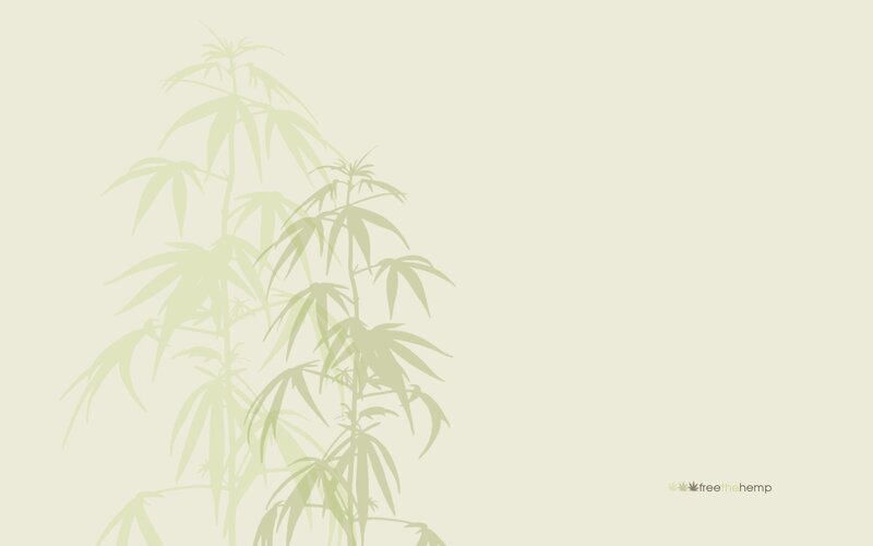 hemp plant silhouette