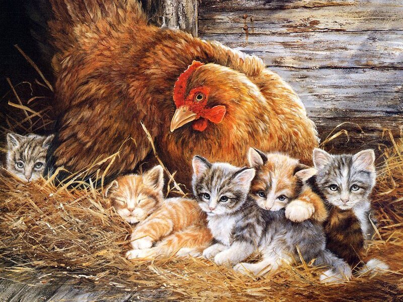Hen with Kittens