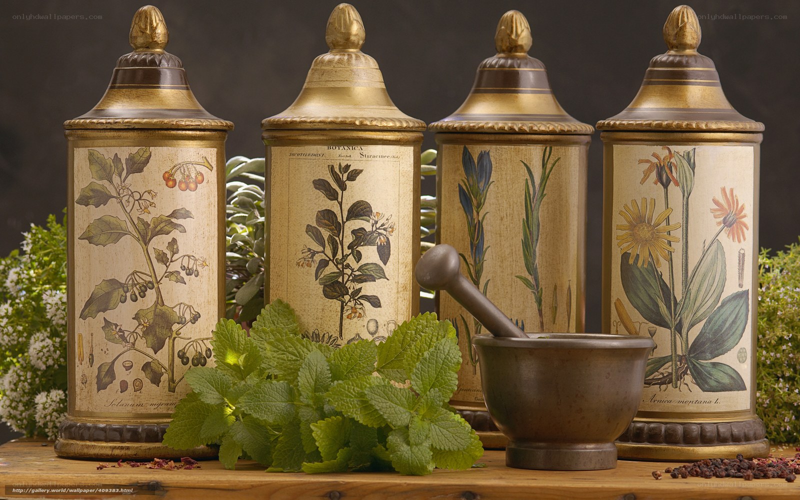 Herbs and botanical jars