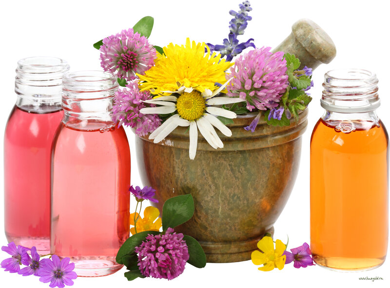 Herbs and Essential Oils