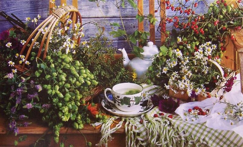 Herbs and Tea on Table