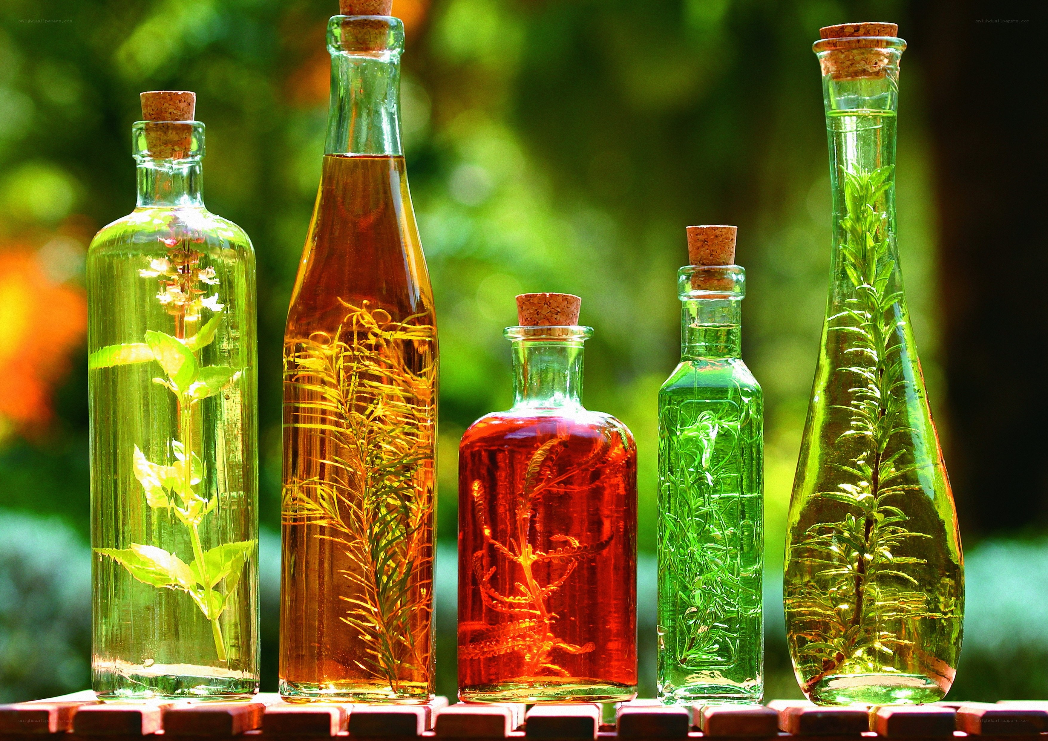 Herbs steeping in glass bottles