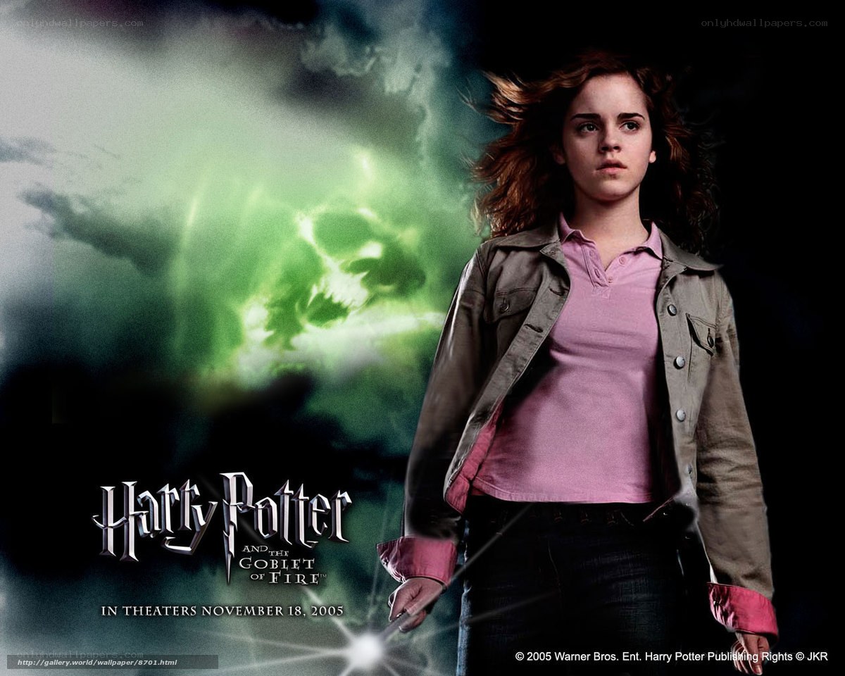 Hermione Granger from Harry Potter