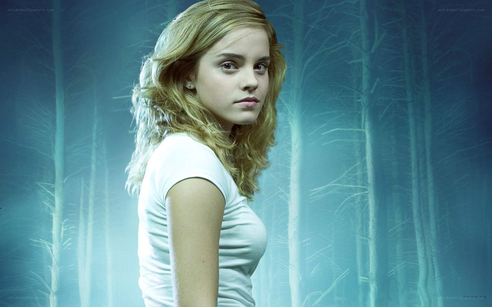 Hermione in a misty forest