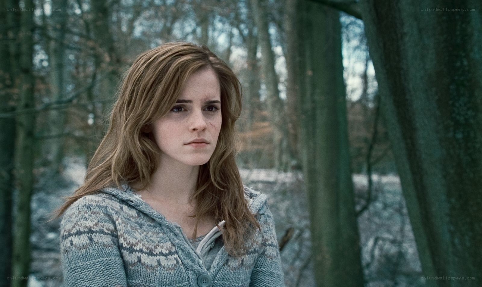Hermione in the forest