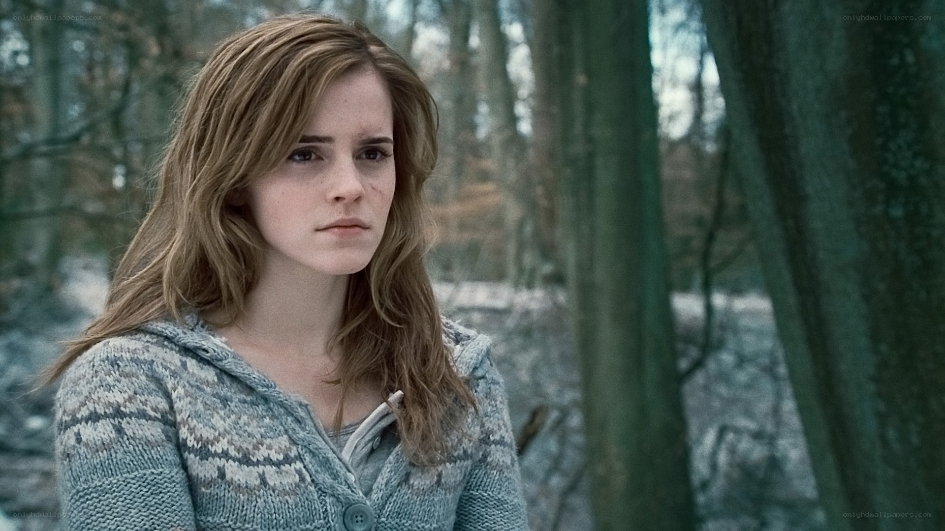 Hermione in the forest