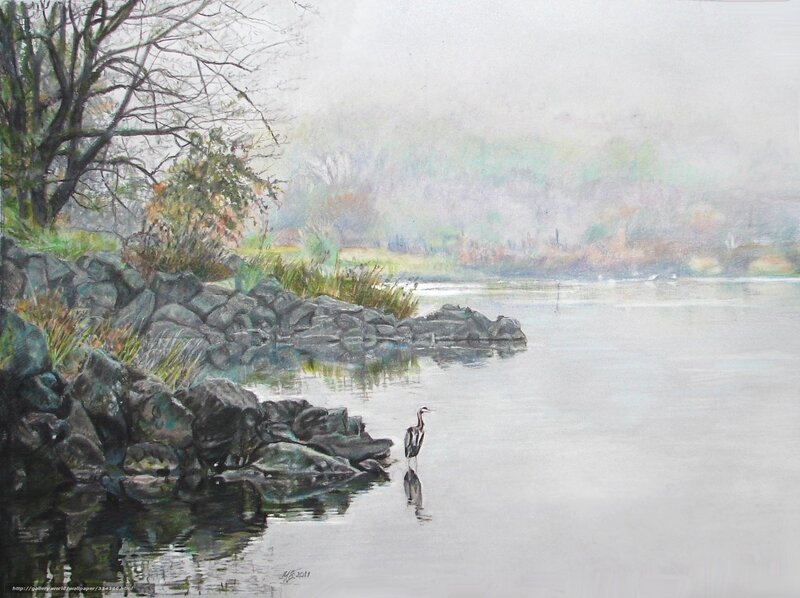 Heron by the misty river