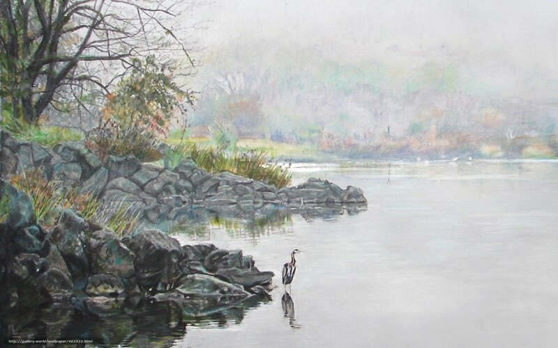 Heron by the riverbank