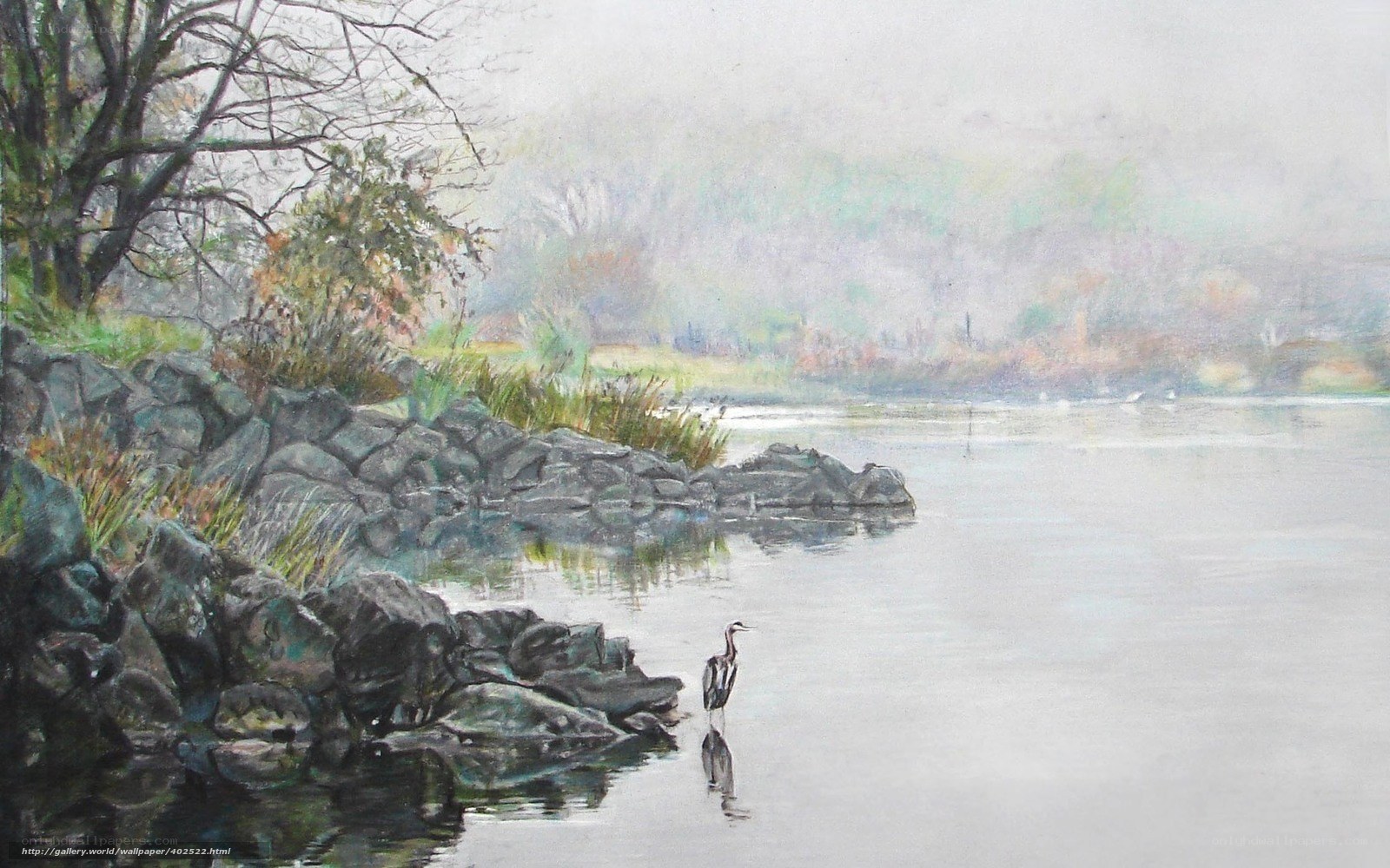 Heron by the riverbank