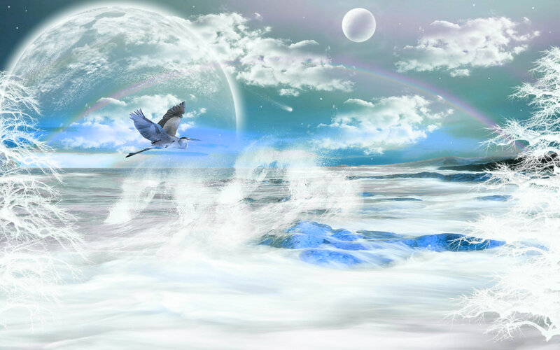Heron Flying over Ocean