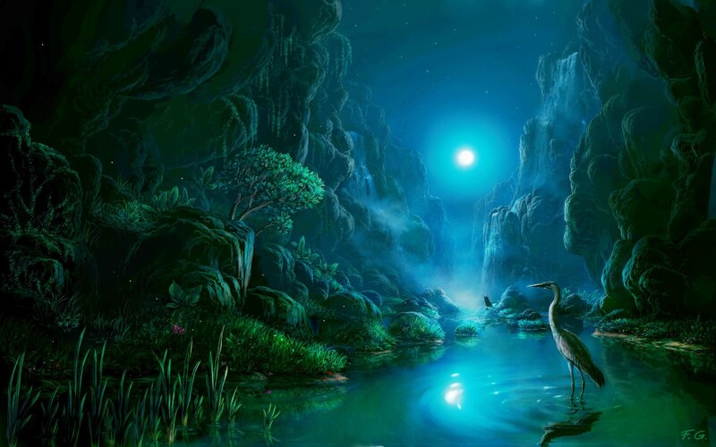Heron in a River