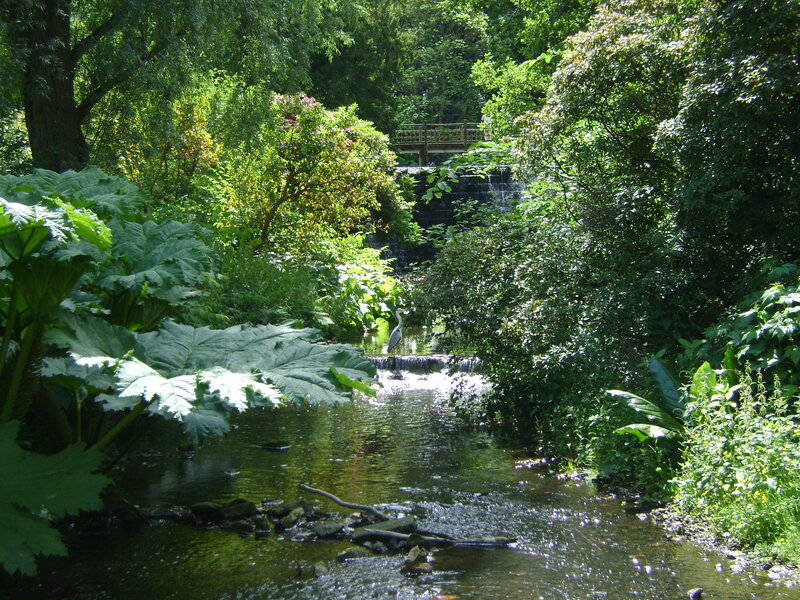 Heron in a Stream