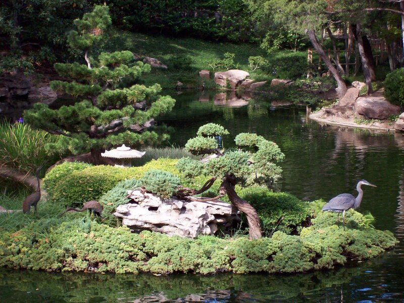Heron in Garden Pond — Green