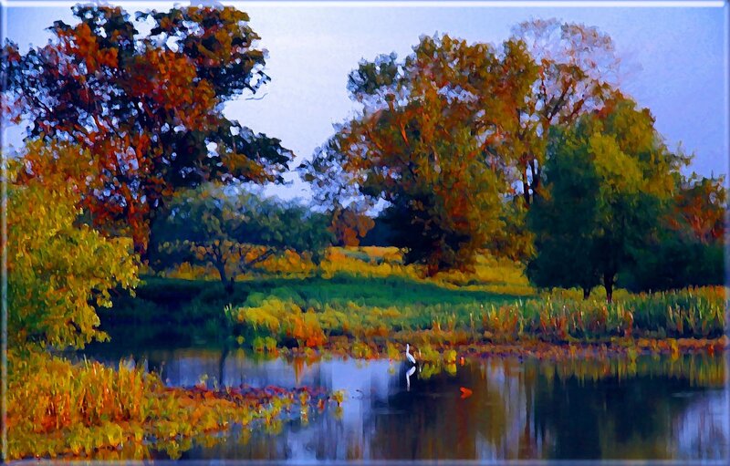 Heron in Pond — Green