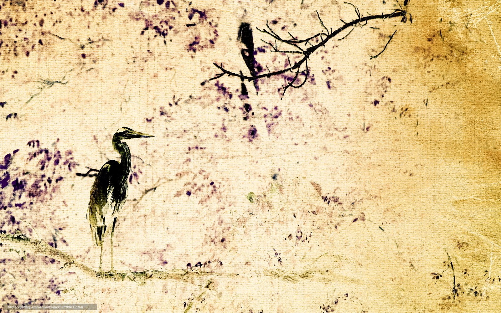 Heron on a branch