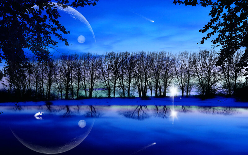 Heron on Lake at Night