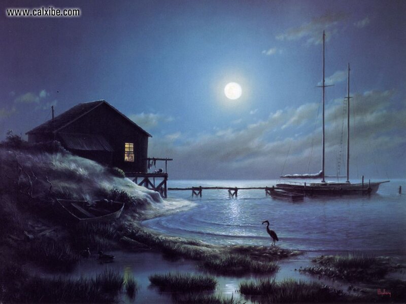 Heron on Shore at Night